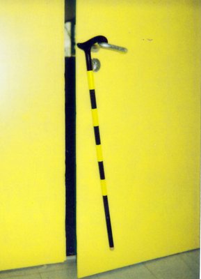 Photo of a yellow door with a yellow and black walking stick hanging at the handle.